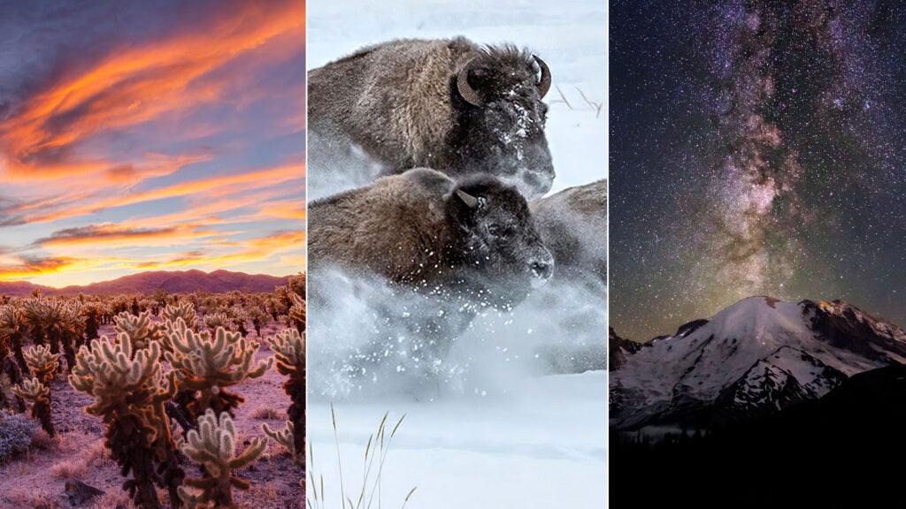 33 Winning Photos from the 2020 National Park Photo Contest