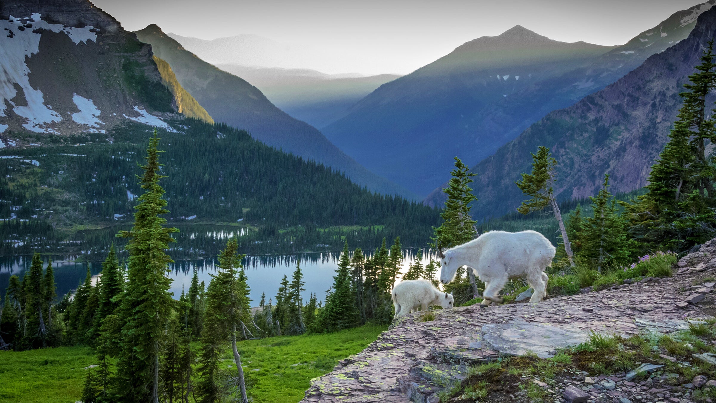 Tender moments in Glacier National Park